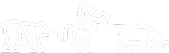 Bear, Bull, and Mustang decorative logo